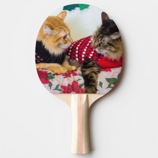 兄弟 卓球ラケット (正面)