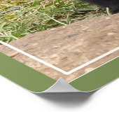 兄/姉妹の友 ポスター (角)