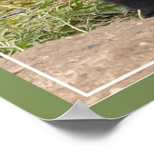 兄/姉妹の友 ポスター (角)