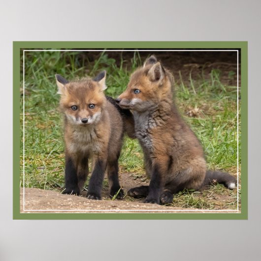 兄/姉妹の友 ポスター (正面)