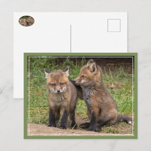 兄/姉妹の友 ポストカード (正面/裏面)