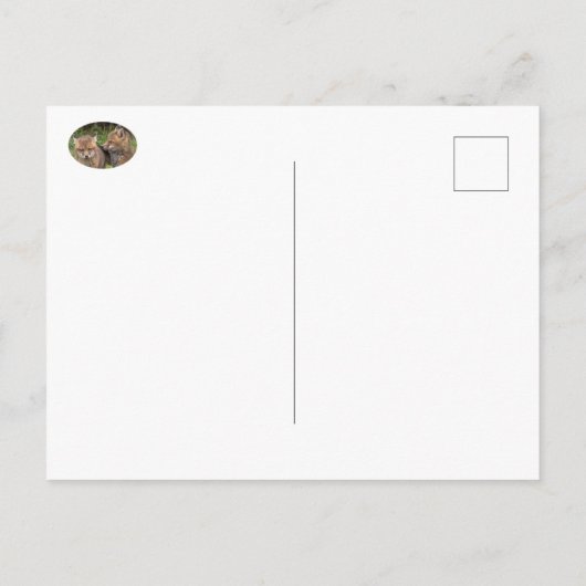 兄/姉妹の友 ポストカード (裏面)