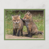 兄/姉妹の友 ポストカード (正面)