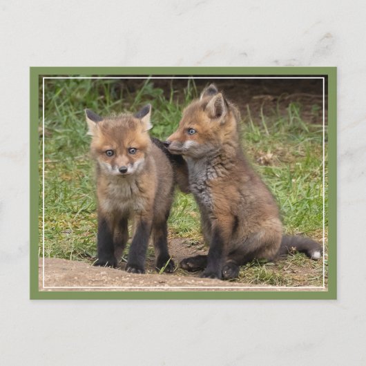 兄/姉妹の友 ポストカード (正面)