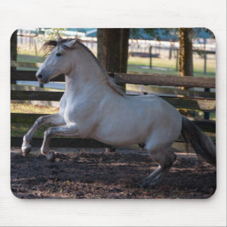 充満マウスパッド マウスパッド