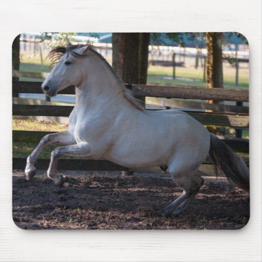 充満マウスパッド マウスパッド (正面)