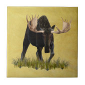 充電ブルムース タイル (正面)