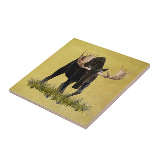 充電ブルムース タイル (側面)