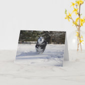 充電中 カード (黄色い花)