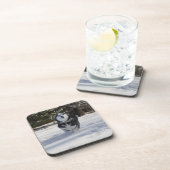 充電中 コースター (右側)