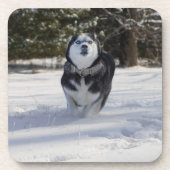 充電中 コースター (正面)