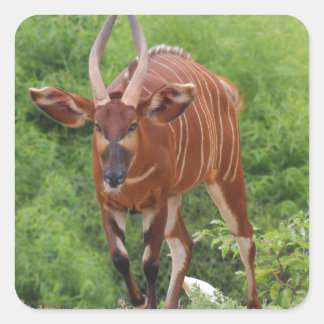 充電中 スクエアシール