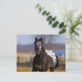 充電器 ポストカード (スタンド正面)