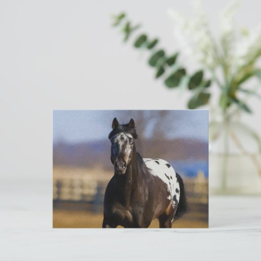 充電器 ポストカード (スタンド正面)