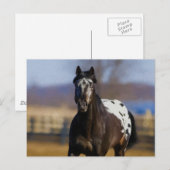 充電器 ポストカード (正面/裏面)