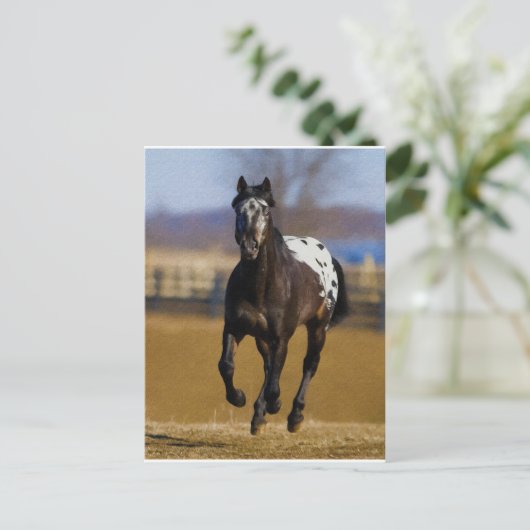 充電器 ポストカード (スタンド正面)