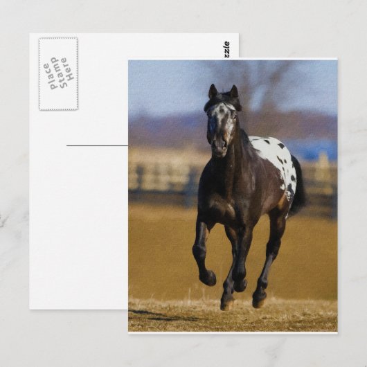 充電器 ポストカード (正面/裏面)