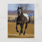 充電器 ポストカード (正面)