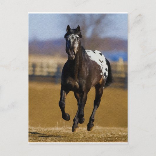 充電器 ポストカード (正面)