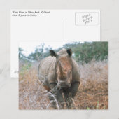 充電式Rhino ポストカード (正面/裏面)