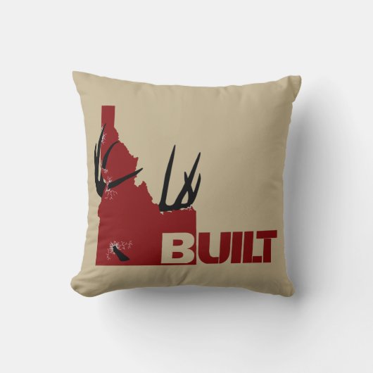 充電降圧装飾用クッション クッション (正面)