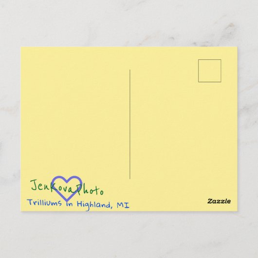 兆しはがき ポストカード (裏面)