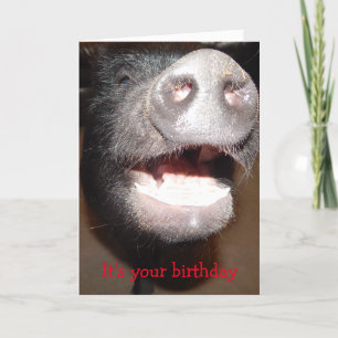 先に行ってキーキー、豚誕生日カード カード