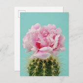 先の尖ったサボテン頂上ピンクの開花 ポストカード (正面/裏面)