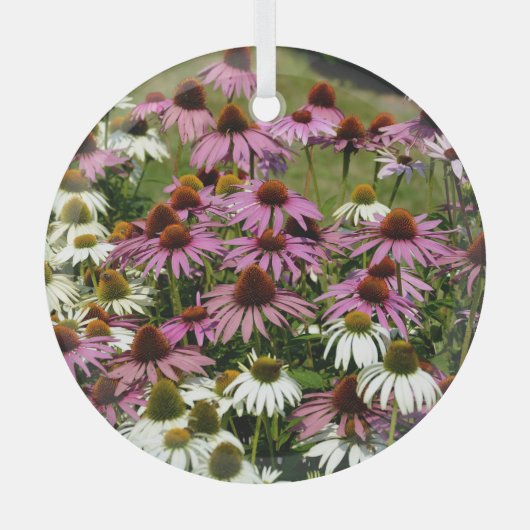 先住民のアメリカのルートの使用法、歴史的な用途。 ガラスオーナメント (正面)