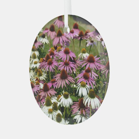 先住民のアメリカのルートの使用法、歴史的な用途。 ガラスオーナメント (正面左)