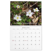 先住民の植物ザシーズンズ カレンダー (3月 2027)