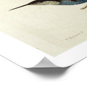 先住民の鳥で、トウカン（中央）やアマゾなど ポスター (角)