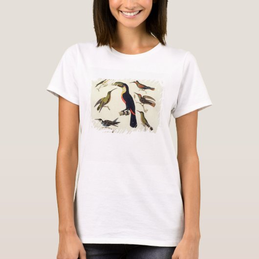 先住民の鳥で、トウカン(中央)やアマゾなど Tシャツ (正面)