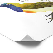 先住民の鳥 ポスター (角)