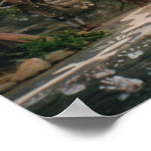 先住民の ポスター (角)