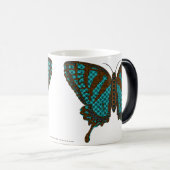 先住民アゲハチョウマグ モーフィングマグカップ (正面右)