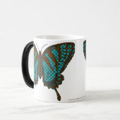 先住民アゲハチョウマグ モーフィングマグカップ (正面左)