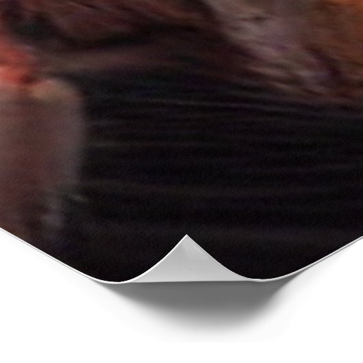 先住民アメリカのスーのポスター ポスター (角)