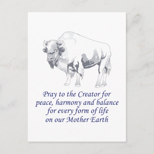 先住民アメリカの象徴 ポストカード (正面)