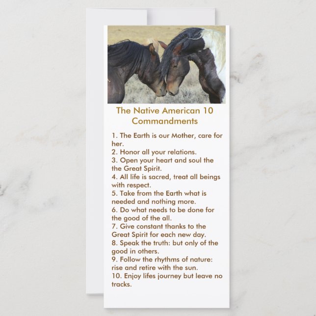 先住民アメリカの野生のムスチンの詩 (正面)