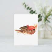 先住民アメリカンウルフクランチェロキーインディアンウォリアー ポストカード (スタンド正面)