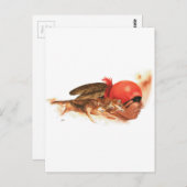 先住民アメリカンウルフクランチェロキーインディアンウォリアー ポストカード (正面/裏面)