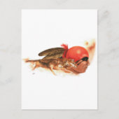 先住民アメリカンウルフクランチェロキーインディアンウォリアー ポストカード (正面)