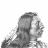 先住民アメリカンダイカット車デカールシール シール (正面)