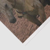 先住民アメリカンヌードライテピデクページ 薄葉紙 (詳細)