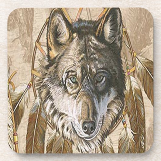 先住民アメリカン・コースター コースター (正面)