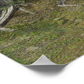 先住民アメリカン・ライフ ポスター (角)