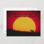 先住民アメリカ引用文 ポストカード (正面/裏面)