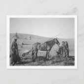 先住民アメリカ西部カナダのクレー族， c.1 ポストカード (正面)