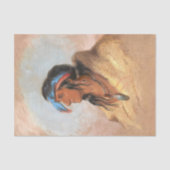 先住民アメリ絵画カの白プルーム 薄葉紙 (正面)